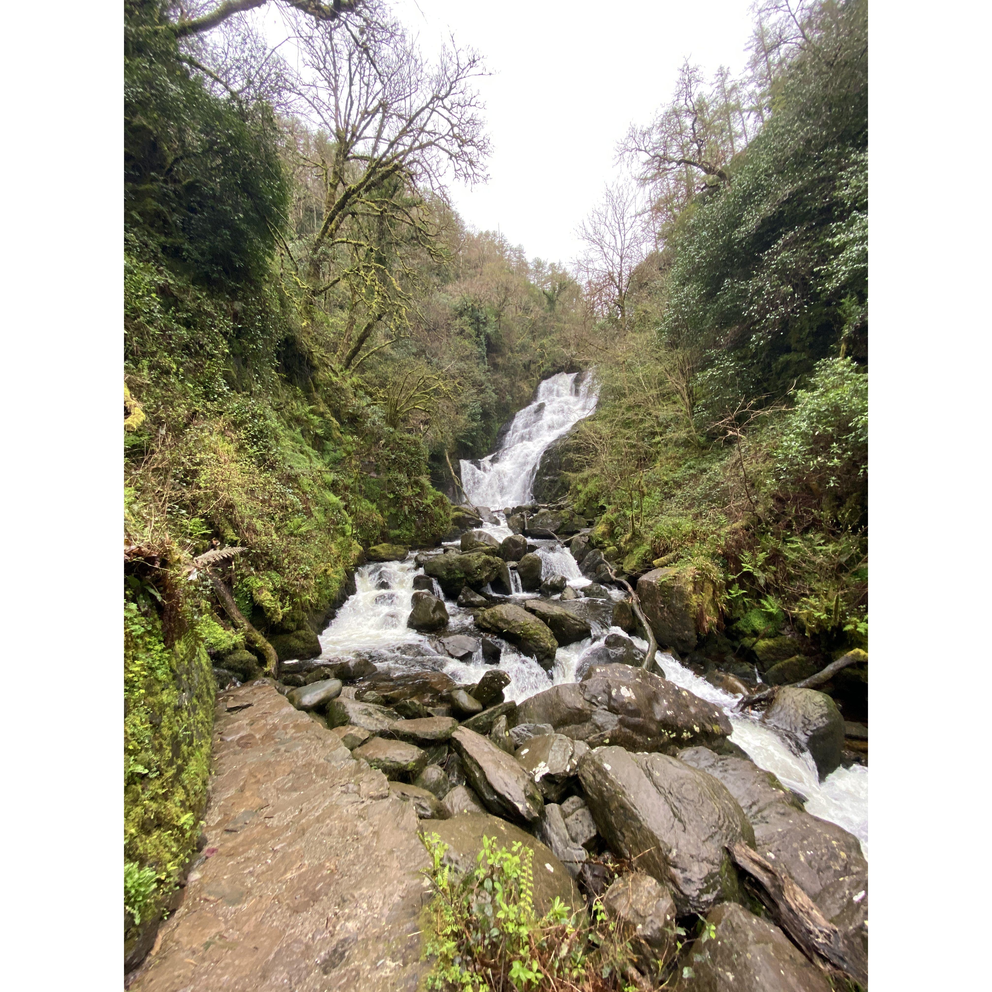 Killarney National Park, Owengarriff River. 4/11/24
