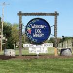 Working Dog Winery