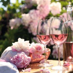 Rosé Wine Tasting in Provence, Italy