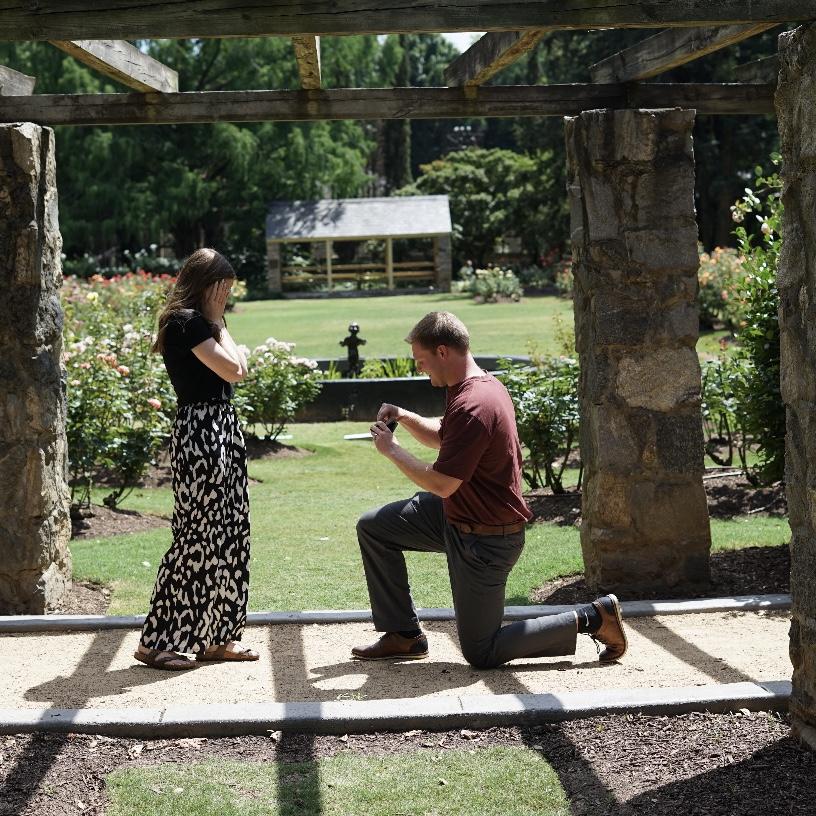 The proposal