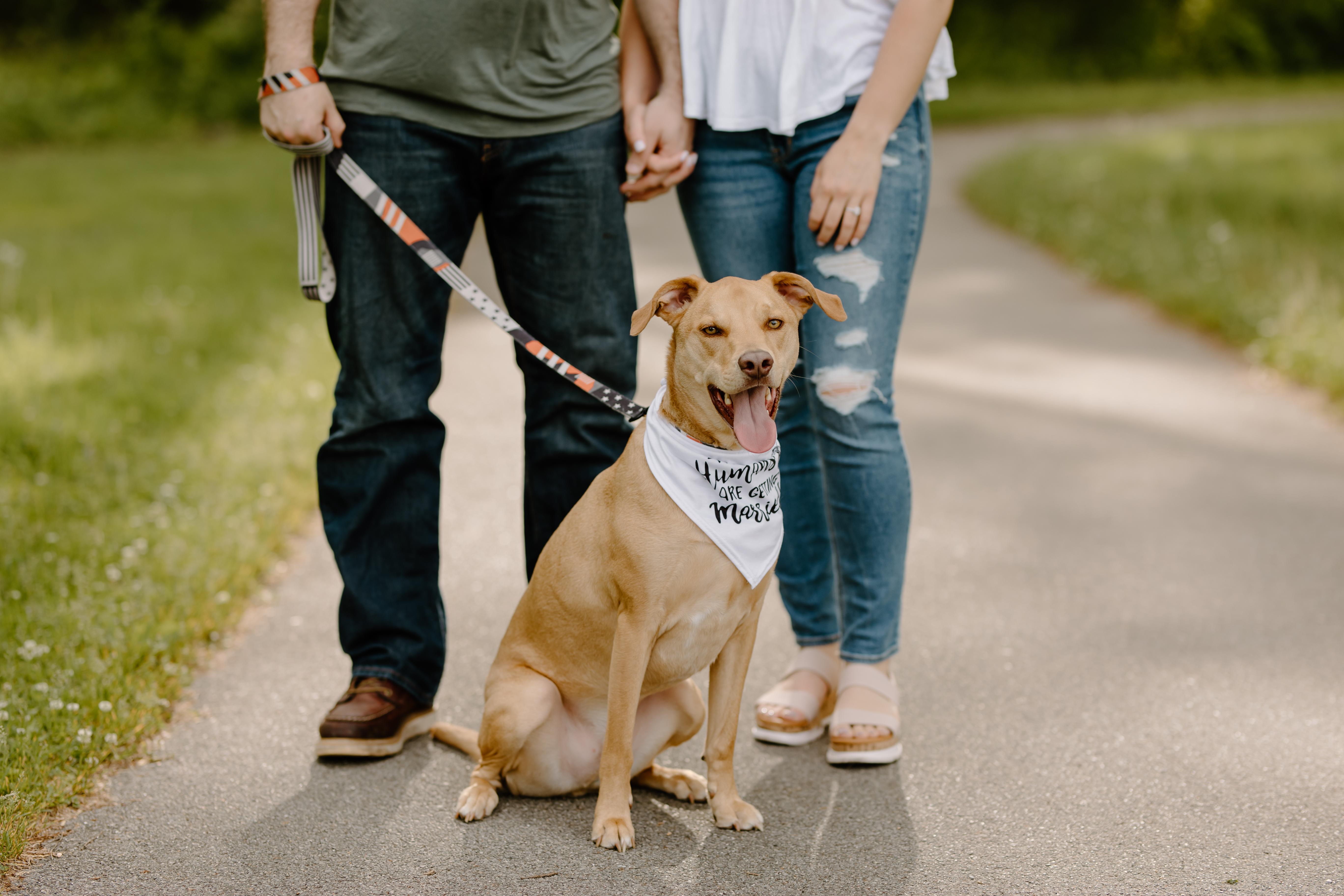 The Wedding Website of Danielle Hamilton and Adam Fitzgibbon