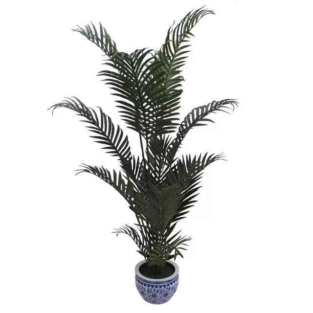 W Home 60-Inch Areca Palm in Ceramic Pot