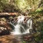 Dandenong Ranges National Park, Olinda