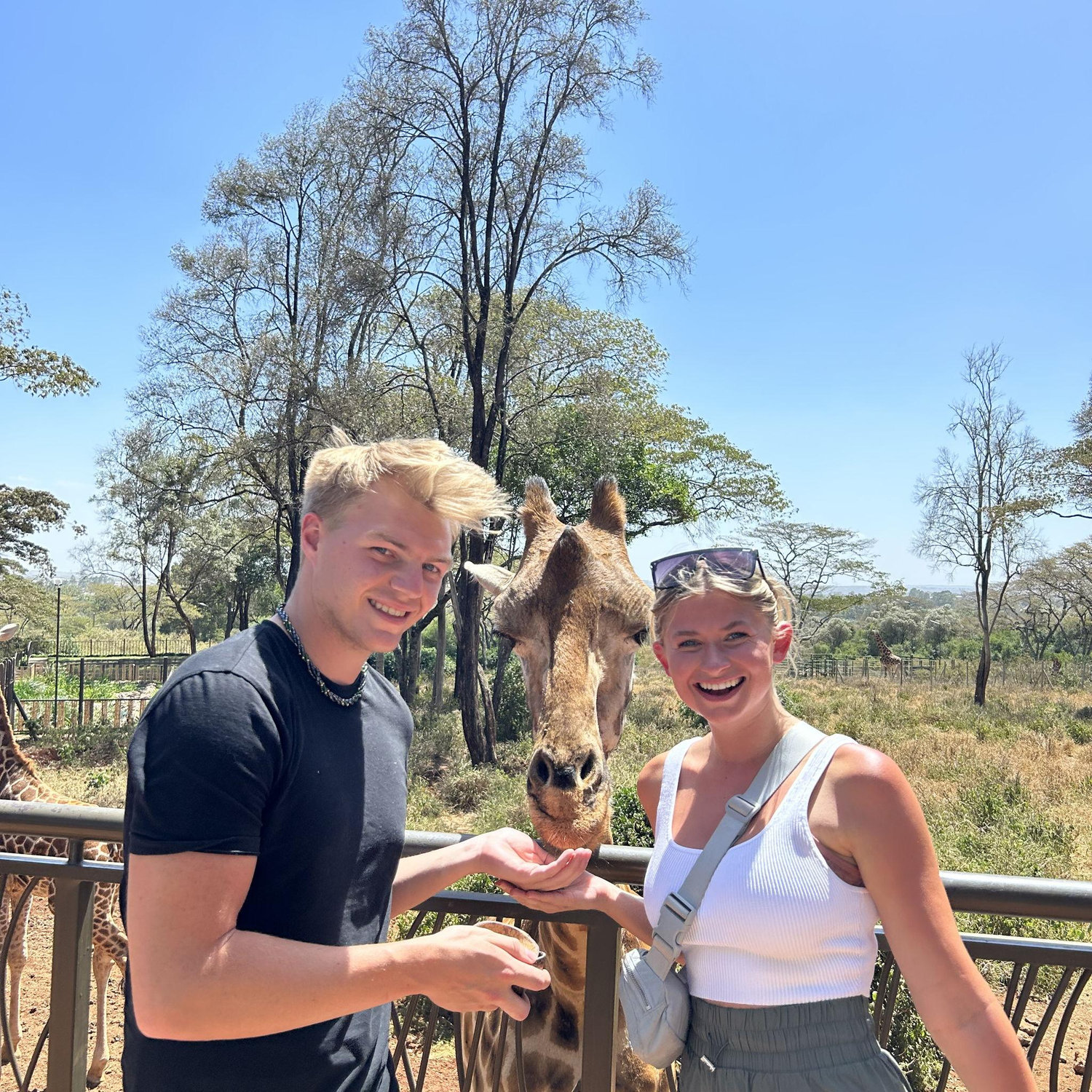 Giraffe Manor day!