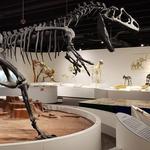 Panhandle-Plains Historical Museum