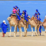 Desert Safari Cabo Adventures