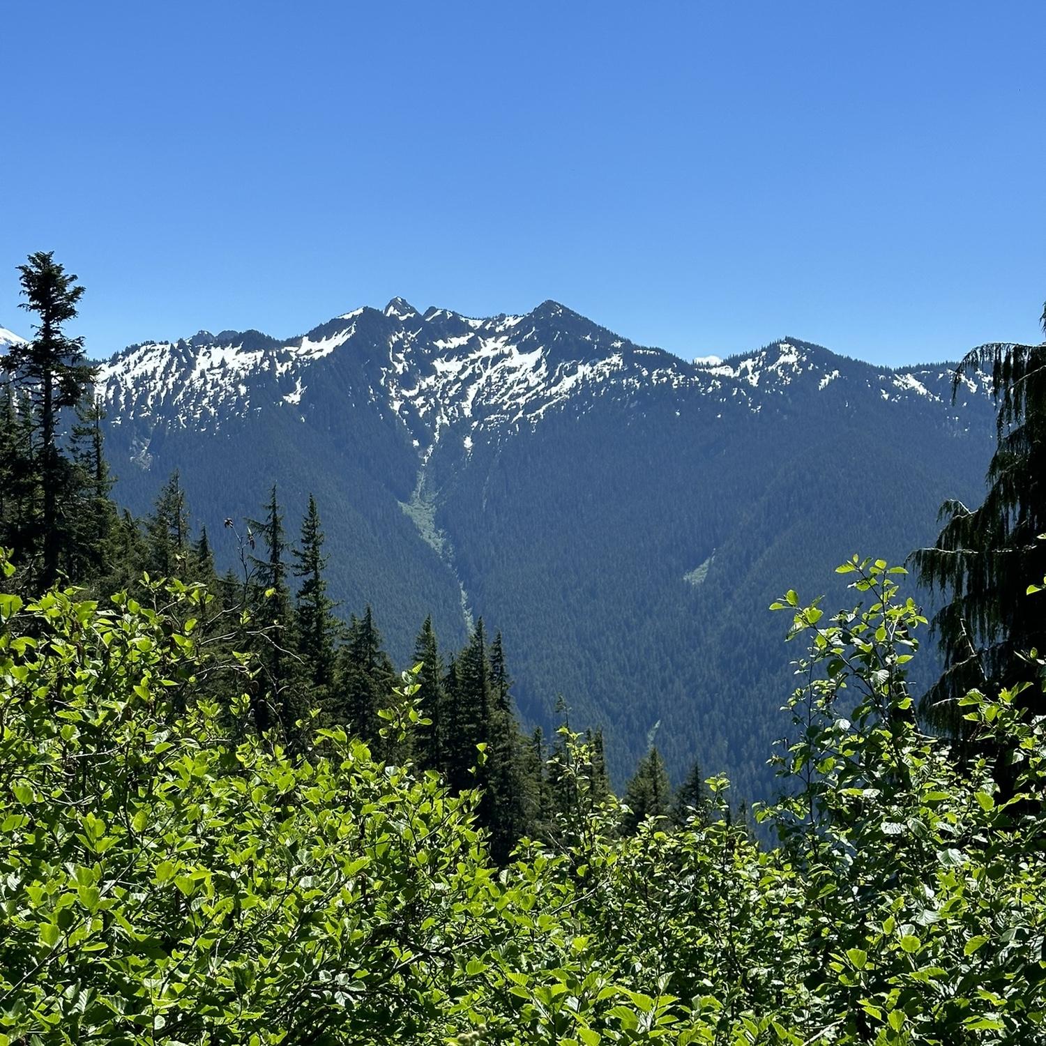 Beautiful views of surrounding mountains from the trail!