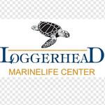 Loggerhead Marinelife Center