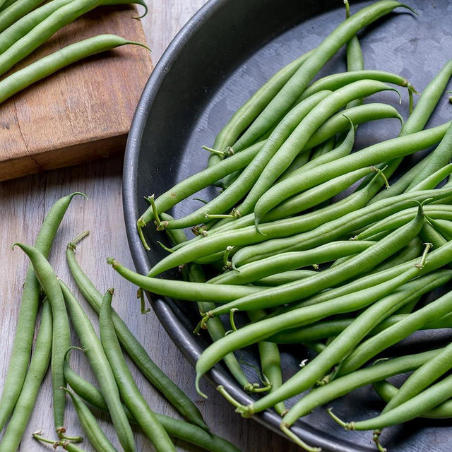 Burpee French Filet Bush Bean Seeds 2 ounces of seed