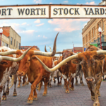 Fort Worth Stockyards Station