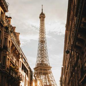Dinner in Paris