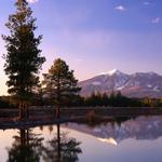 Official Flagstaff Tourism  Site