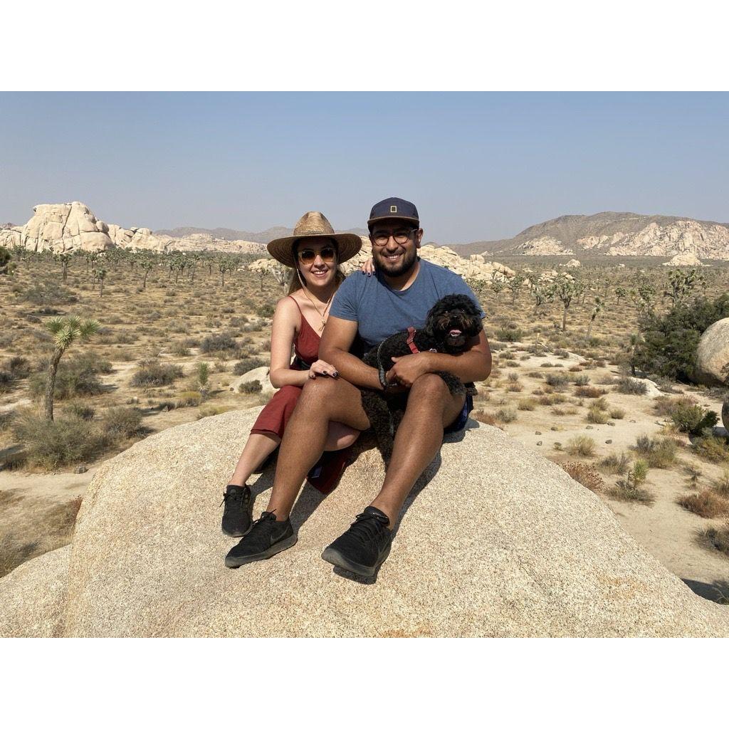 Joshua Tree with Walley!!