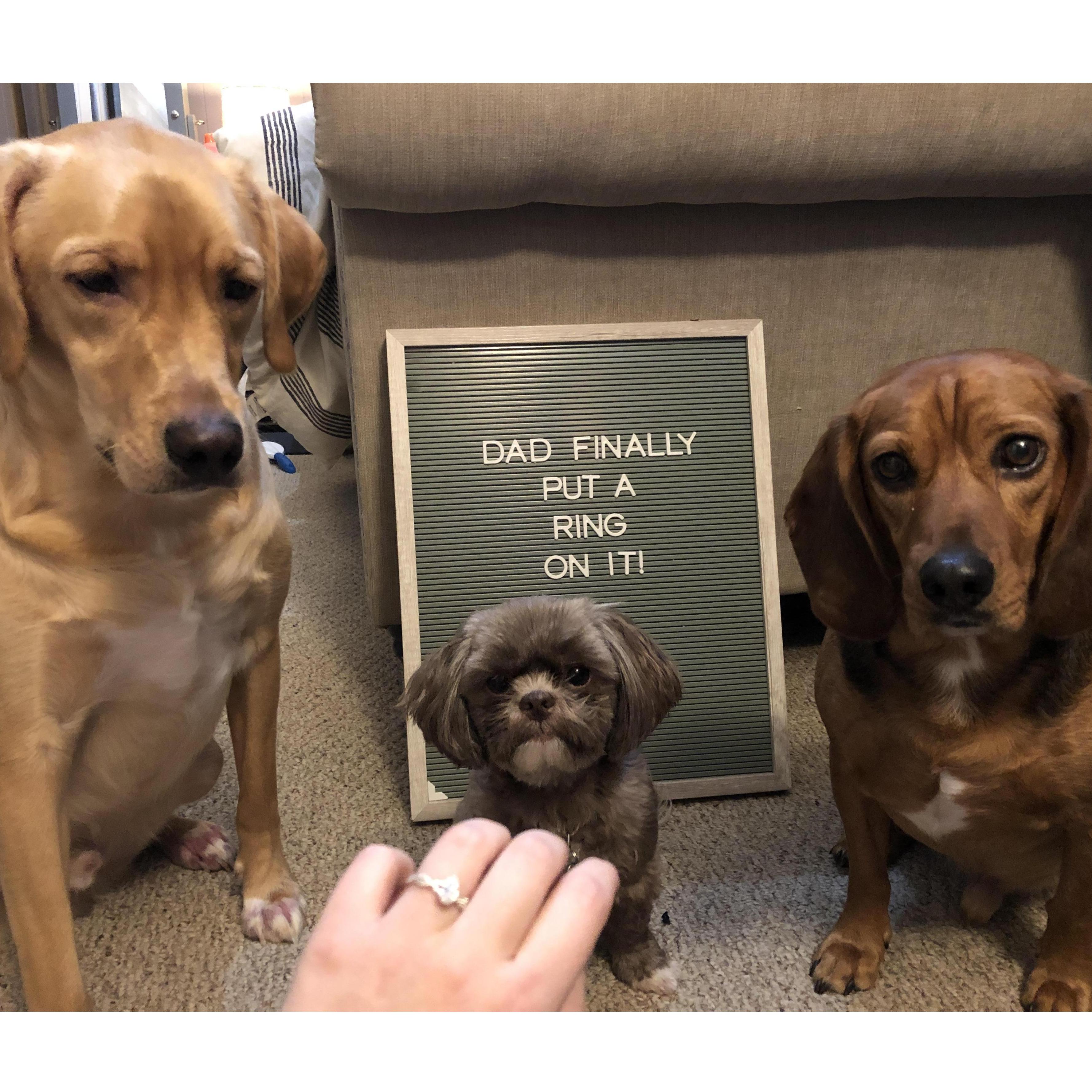 He had to ask our dogs for their approval!