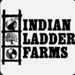 Indian Ladder Farms Cidery and Brewery