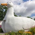 The Big Duck