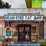 Mean Eyed Cat
