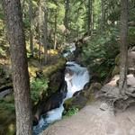 Trail of the Cedars Nature Trail
