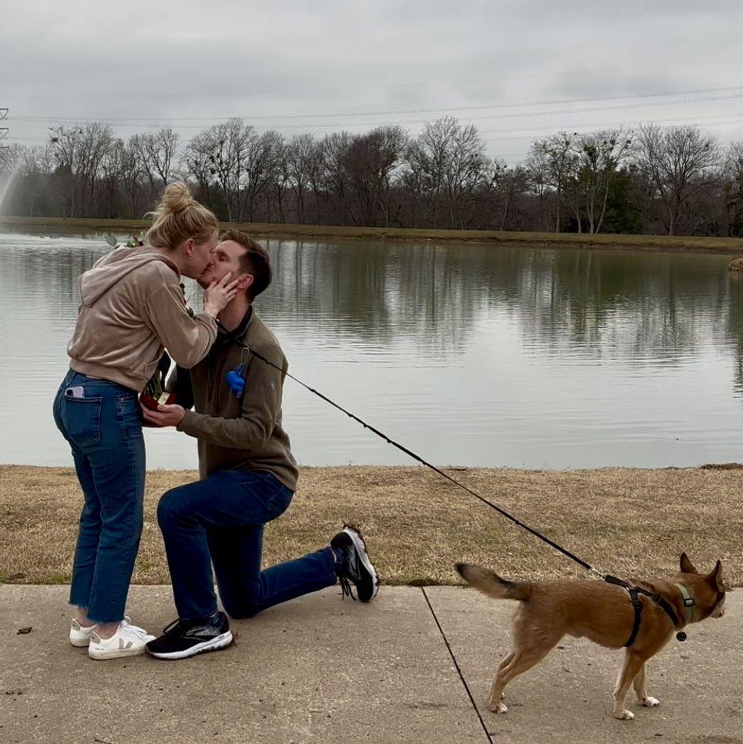 Will Proposing - Archie focused on his walk