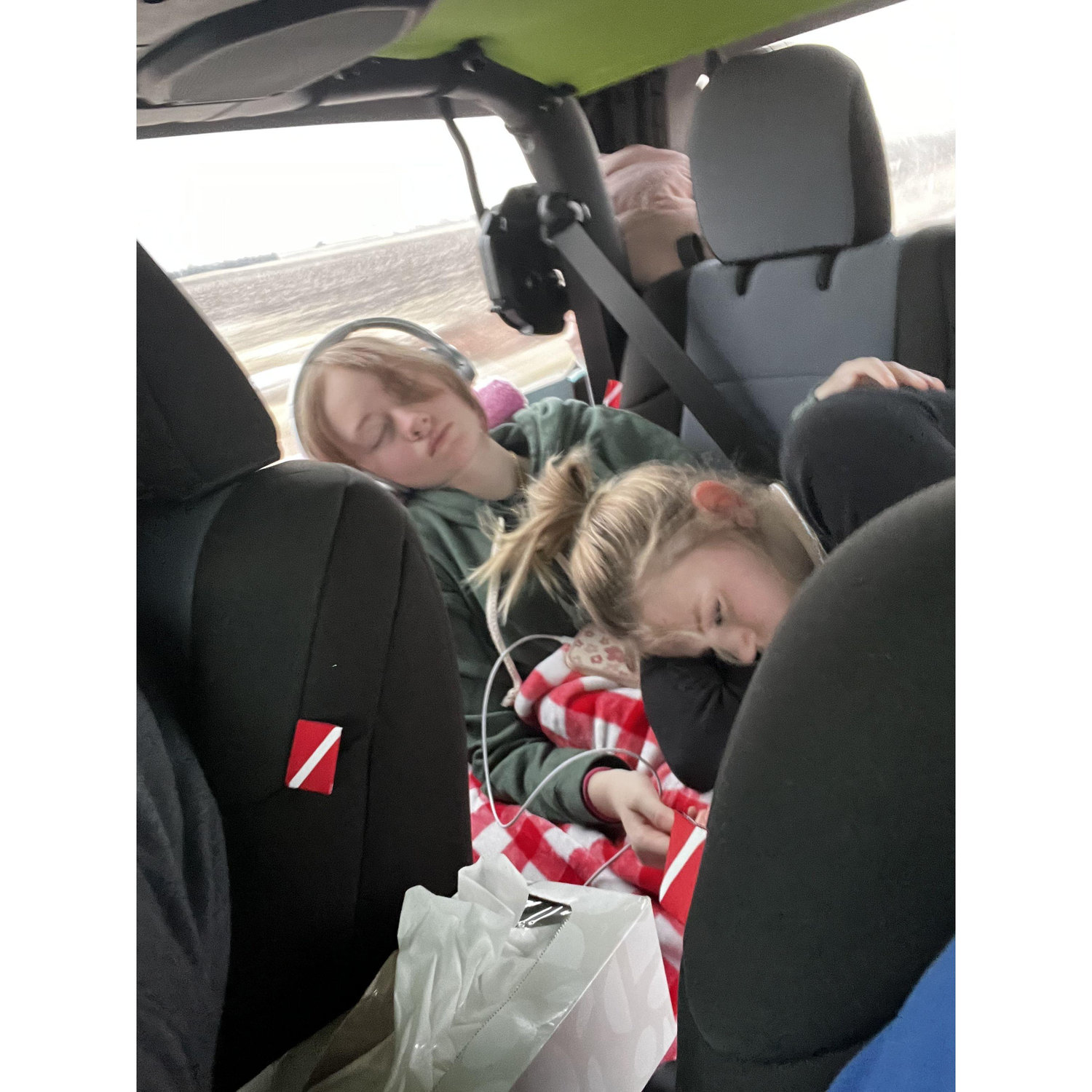 They can sleep wherever!