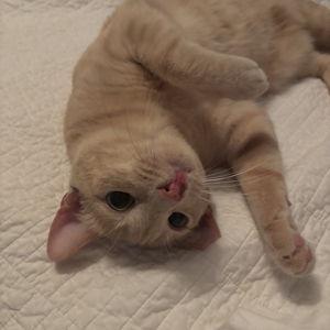 Treats for Winnie