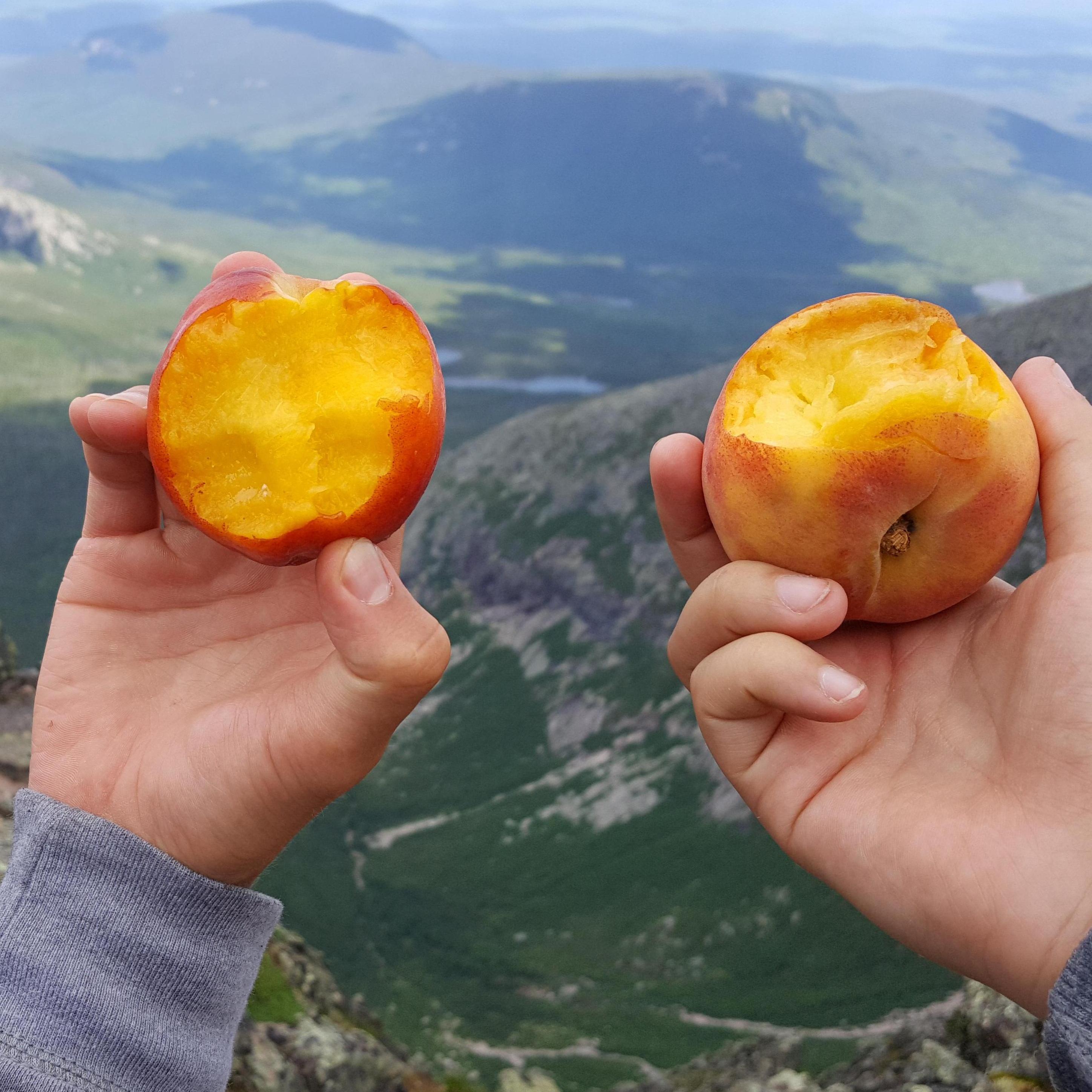 Victory peaches! We have a tradition to always carry a peach each when hiking mountains, and enjoy them when we reach the top!