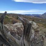 Ron Stewart Preserve at Rabbit Mountain Open Space