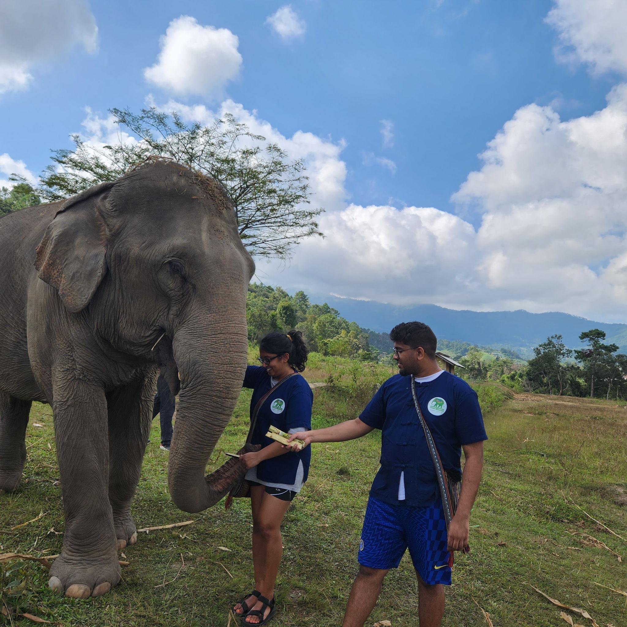 We took a break from eating and fed some elephants instead