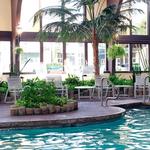 Wilson Lodge Indoor Pool
