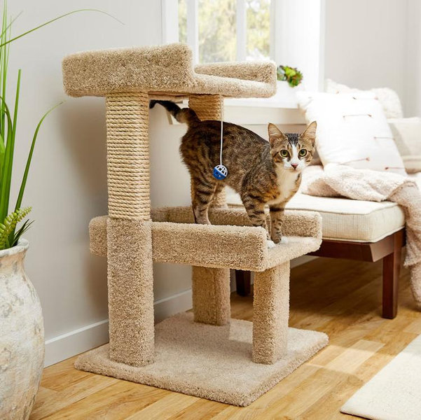 Frisco 32-in Real Carpet Solid Wood Cat Tree with Toy