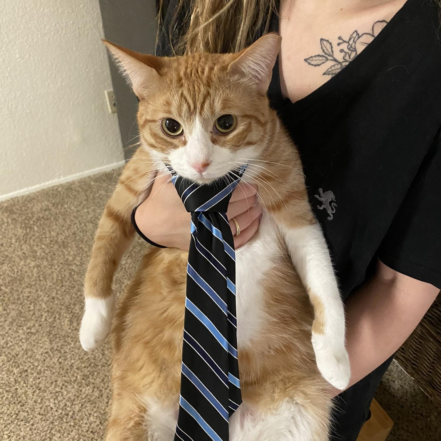 Learning how to tie a tie
Thank you Fizz for letting us practice!
March 27th, 2022