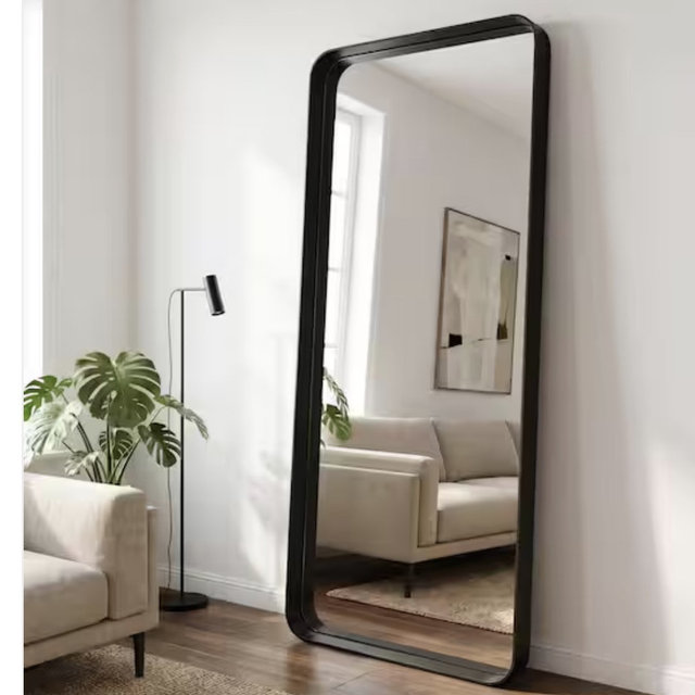 Full Length Mirror (Home Depot)