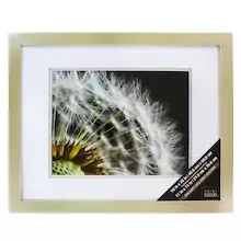 Champagne Gallery Wall Frame with Double Mat by Studio Décor®