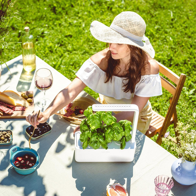 Click & Grow, Smart Garden 3 | Zola