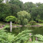 Japanese Garden