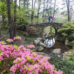 Garvan Woodland Gardens