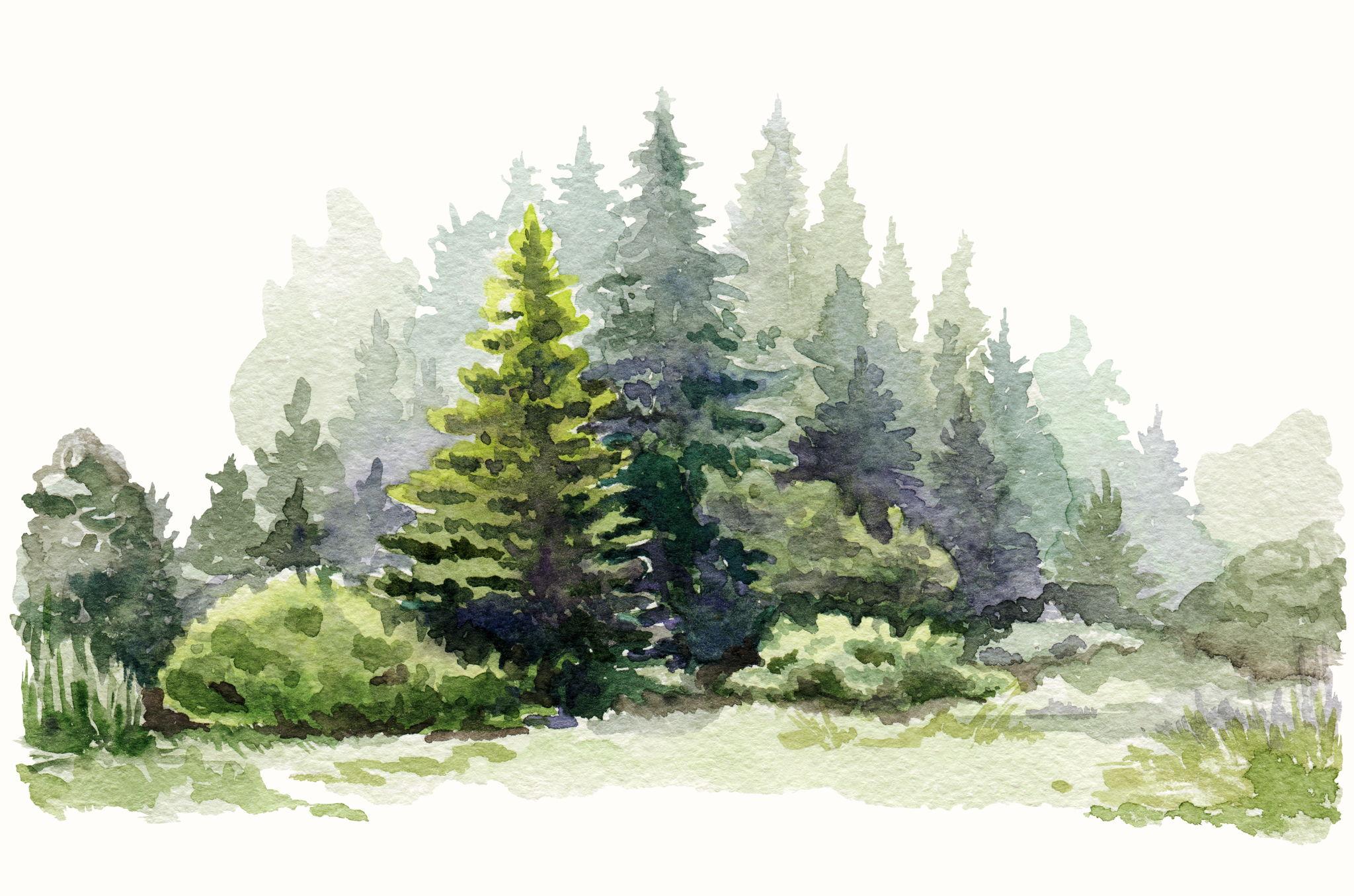 The Wedding Website of Monica Vera Gonzales and Efren Jr. Capistrano