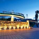 Tampa Riverwalk