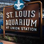 St. Louis Aquarium at Union Station