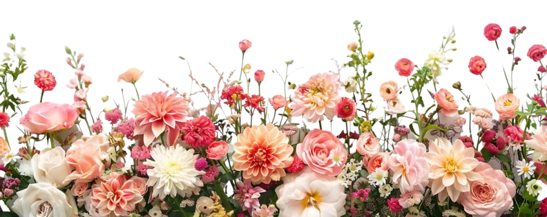 The Wedding Website of Alexandra Lynch and Bracey Brown