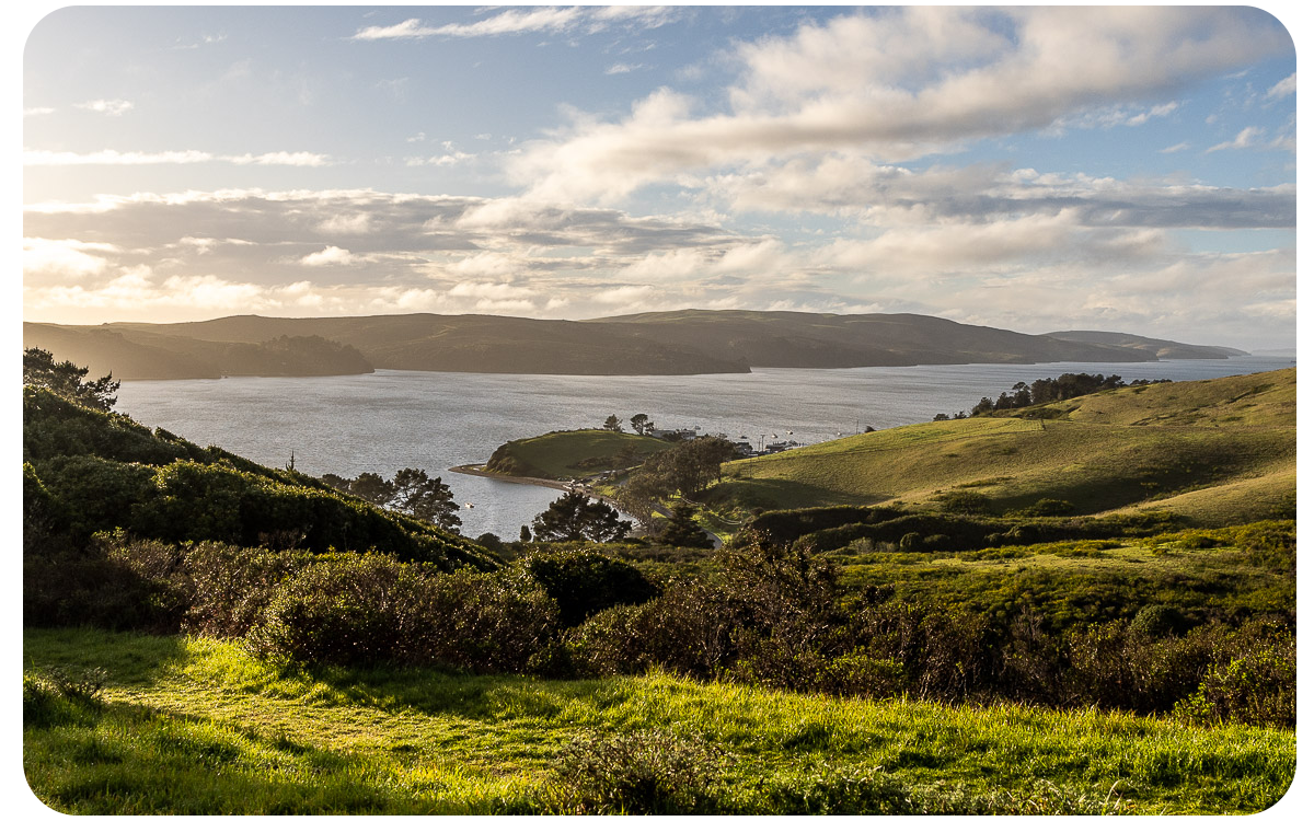 The Wedding Website of Lisa Torres and Sterling Lockert