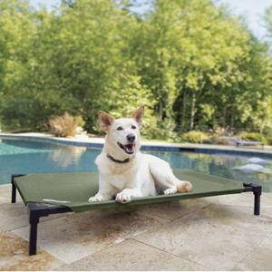 COOLAROO HeatShield Cooling Fabric Elevated Dog Bed, Everglade Green, Large - Chewy.com