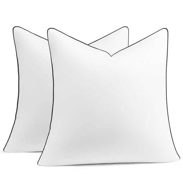 puredown® 20x20 Pillow Inserts Set of 2, Fluffy Overfilled Down Alternative Decorative Pillows, Soft Plush Throw Pillows for Couch, Sofa, Bed and Home Decor