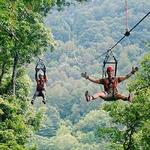 Navitat Canopy Adventures