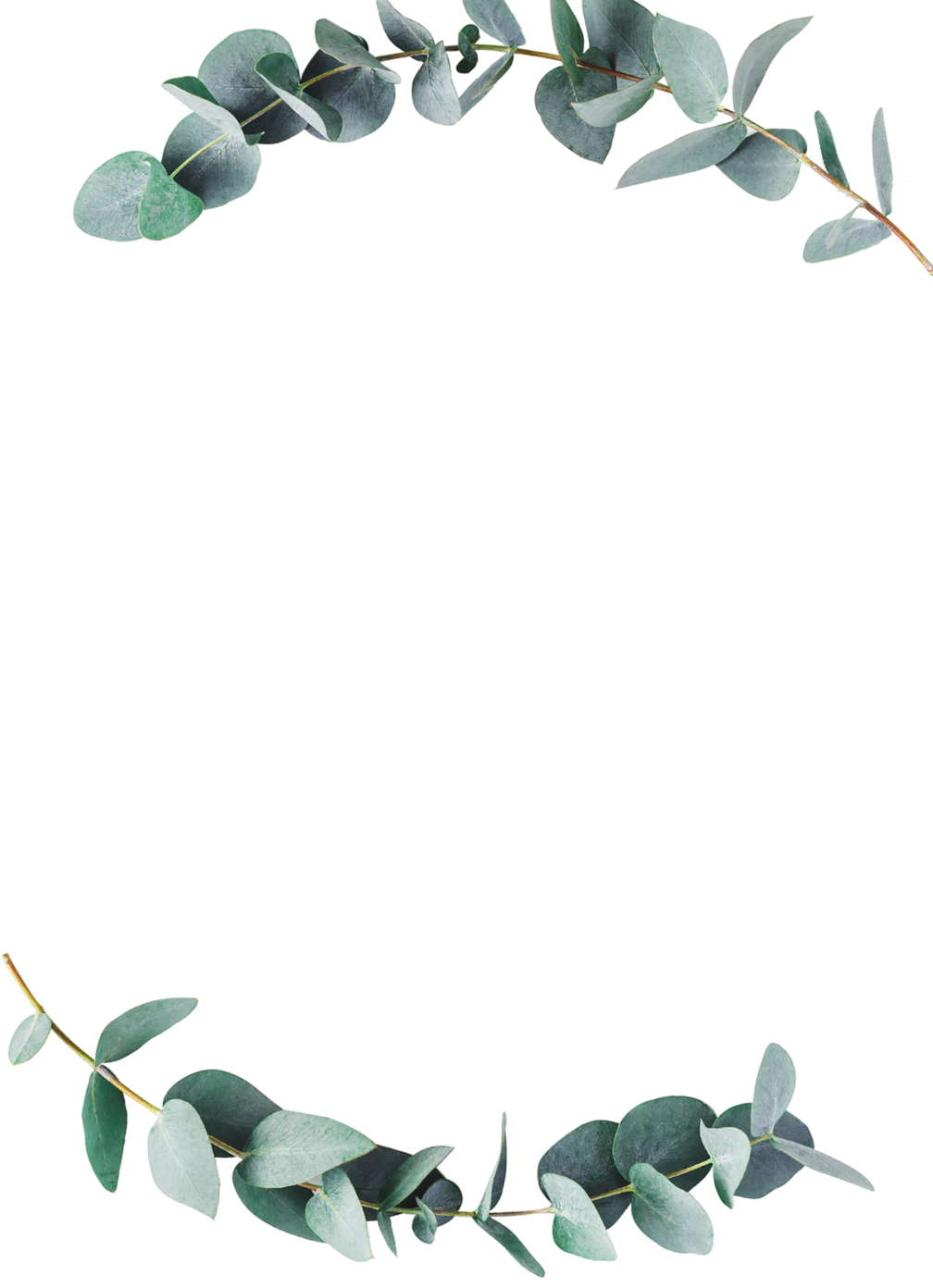 Zola Wedding & Bridal Shower Invitations Galata Vine