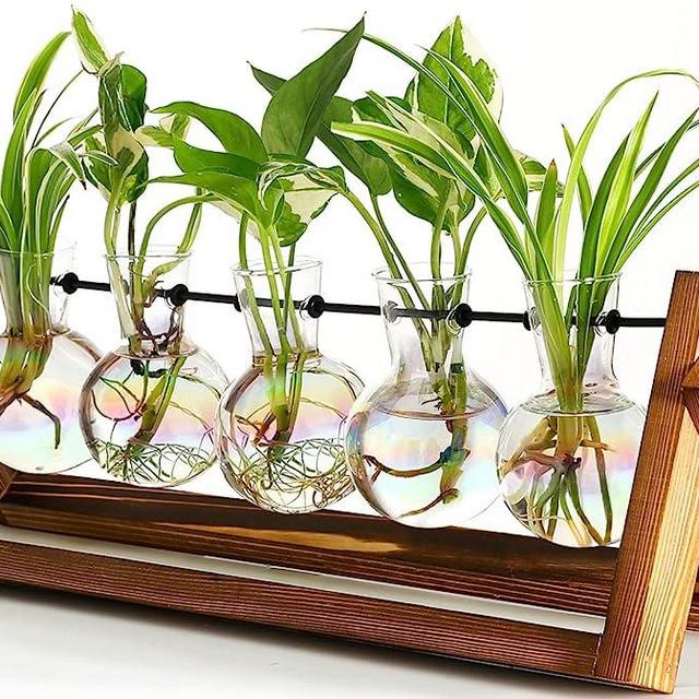 XXXFLOWER Plant Terrarium with Wooden Stand, Wall Hanging Glass Planter Tabletop Propagation Station Metal Swivel Holder Retro Rack for Hydroponics Home Garden Office Decoration - 5 Bulb Vase