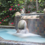 Half Moon: The Fern Tree Spa