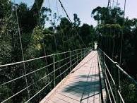 Spruce Street Suspension Bridge
