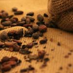Explore the Famous Choco Museum
