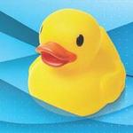 Rubber Ducky Race